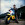 Аккорды Paul Weller