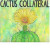 Аккорды Cactus Collateral